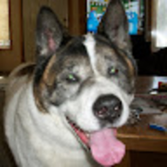 Meet your Posher, Neil - Picture 1 of 1